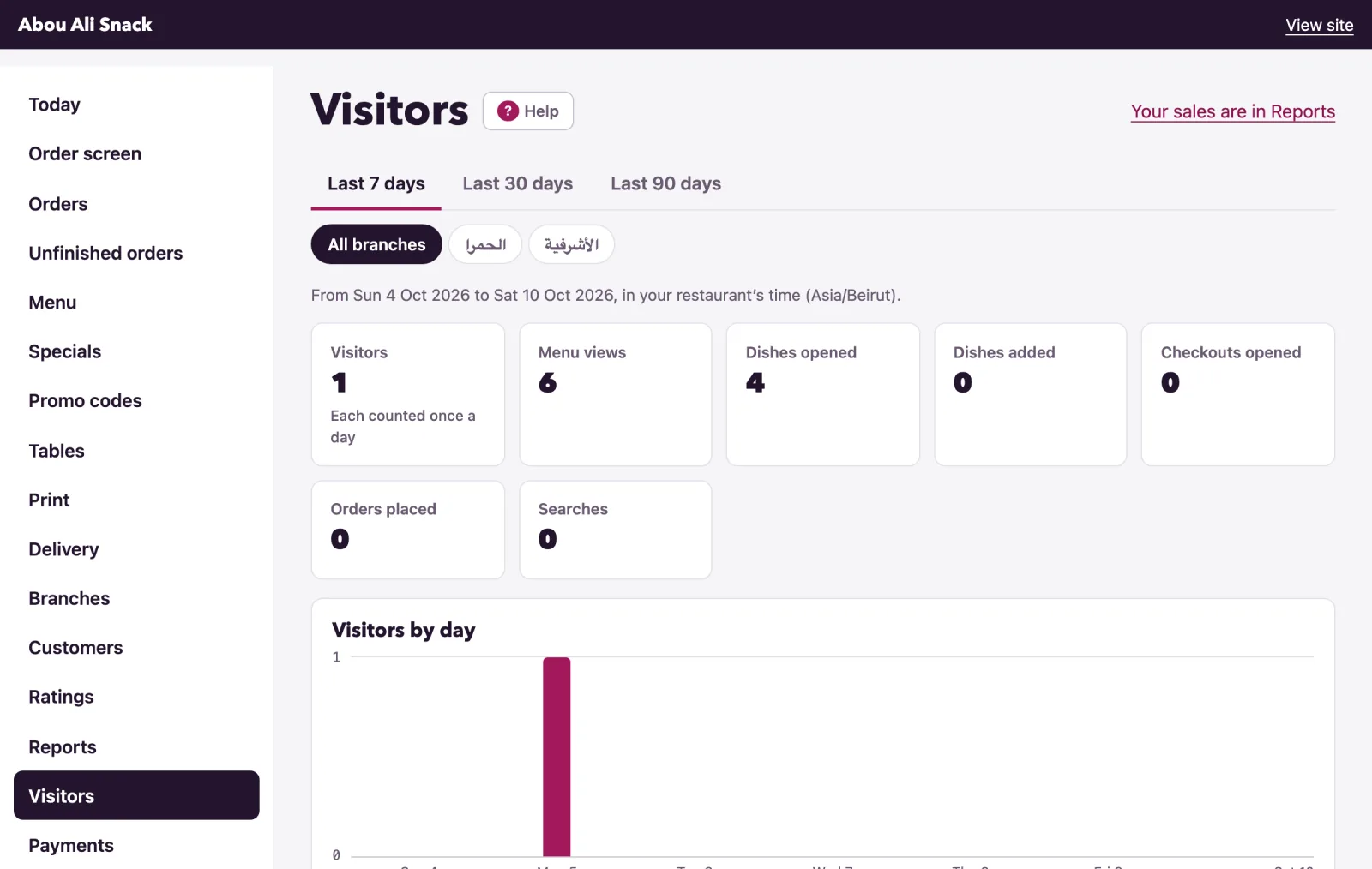 The Visitors page shows the period's totals and a bar for each day.